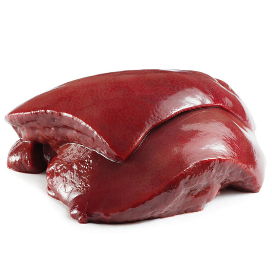Liver Pamplona 10kg